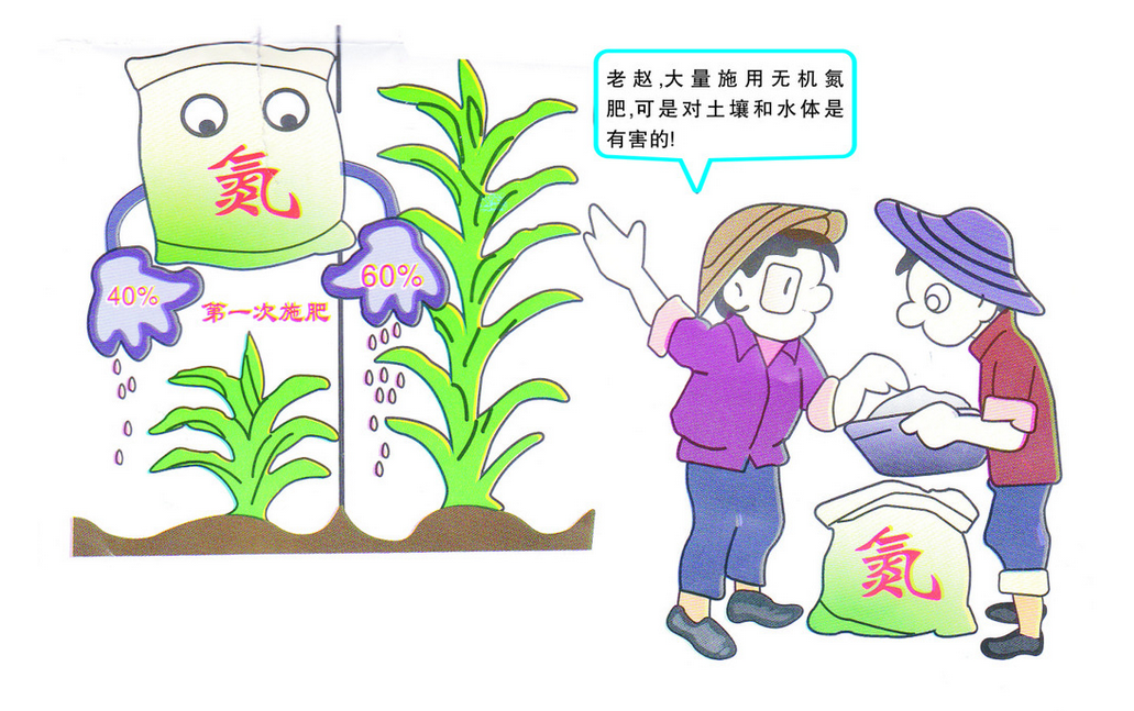 小麦测土配方施肥技术成果