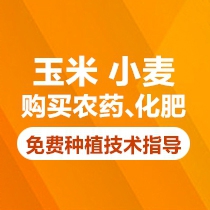 购买农药和化肥免费提供种植技术指导