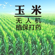 无人植保机喷洒服务（玉米）