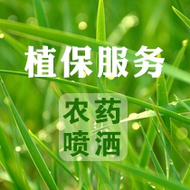 扬州植保打药服务