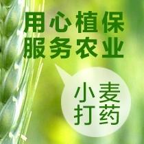 植保打药服务（徐州无人机打药）