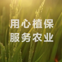 植保打药服务（海南无人机打药）