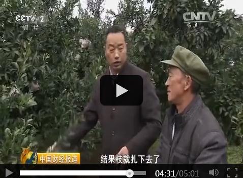 《中国财经报道》20160102_蒲江王店农村纪事-种植“飞地”生金记5（21分处）