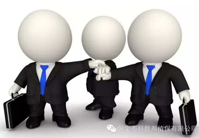 专家团队