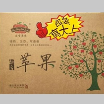 惠生果蔬 烟台不套袋苹果 新鲜水果红富士一级果不套袋