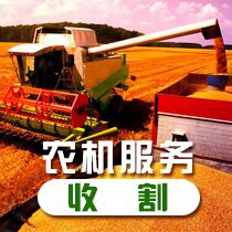 农机收割服务（连云港周边）
