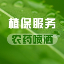 植保打药服务（潜江周边地区）