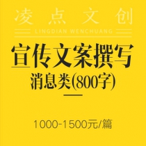 宣传文案撰写：消息类（800字）