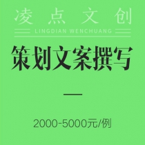 策划文案撰写：2000—5000元/例