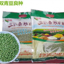 生青豆粒绿芯干青豆青仁小青豆农家自产非转基因散装毛豆500克