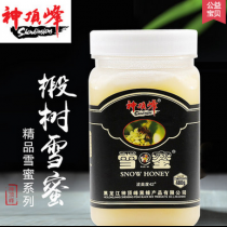 神顶峰蜂蜜东北黑蜂椴树蜜纯净天然无添加自然成熟蜜结晶雪蜜480g