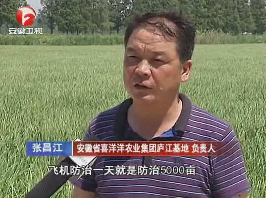 庐江县统防统治现场会在喜洋洋庐江基地召开