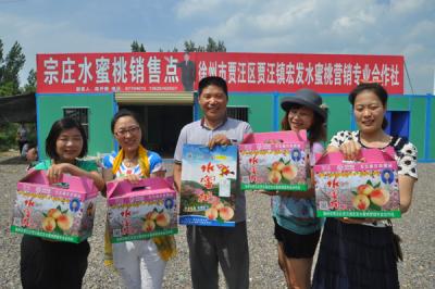 江苏徐州最大万亩生态开银水蜜桃采摘基地