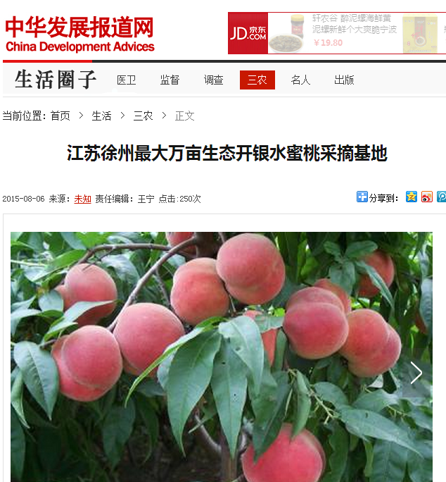 江苏徐州最大万亩生态开银水蜜桃采摘基地