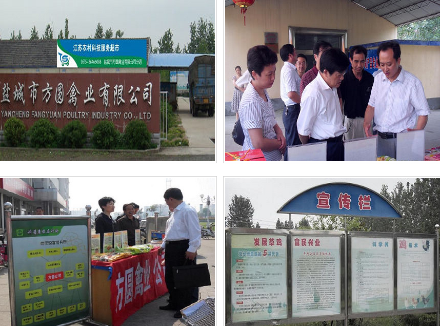 江苏农村科技服务超市建湖特色畜禽产业分店成果建设