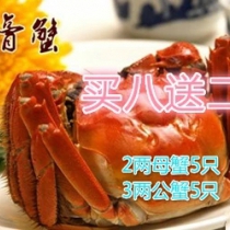 兴化泓膏大闸蟹母2两母蟹3两公蟹鲜活螃蟹8只装送2只礼盒装