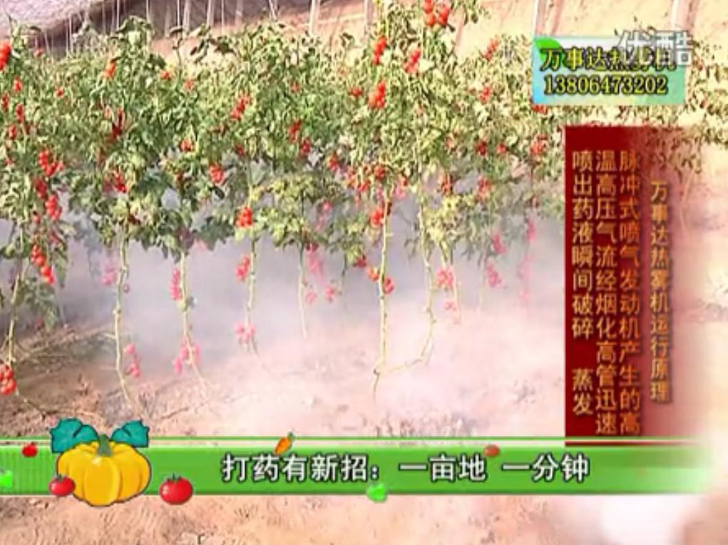 电动热雾机寿光蔬菜大棚成功视频