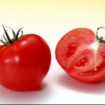 5斤装有机西红柿新鲜番茄纯天然非转基因不打药不催熟