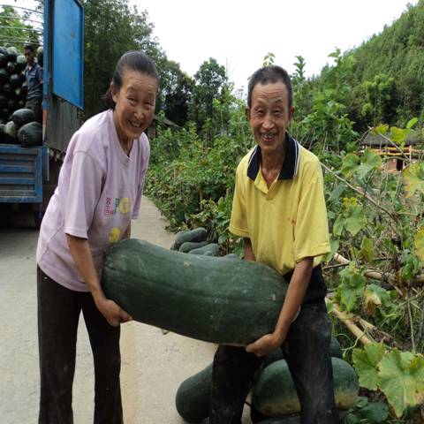 榜样的力量是无穷的