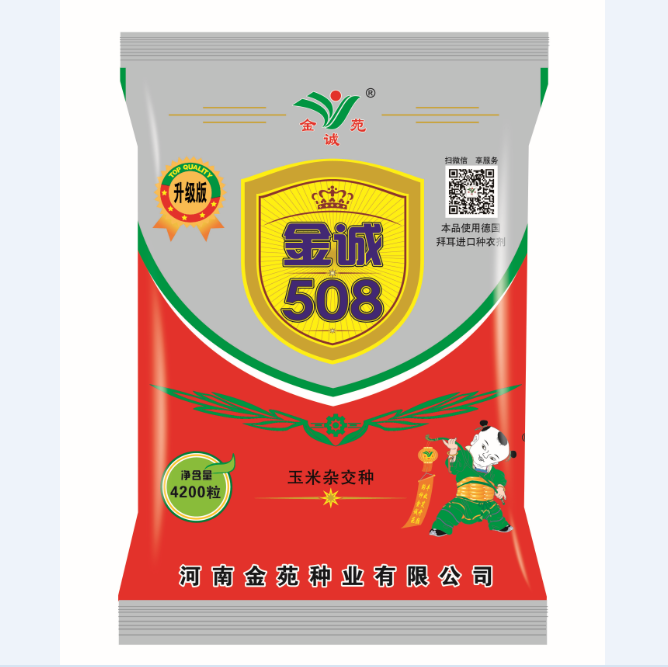 金诚508 高产稳产