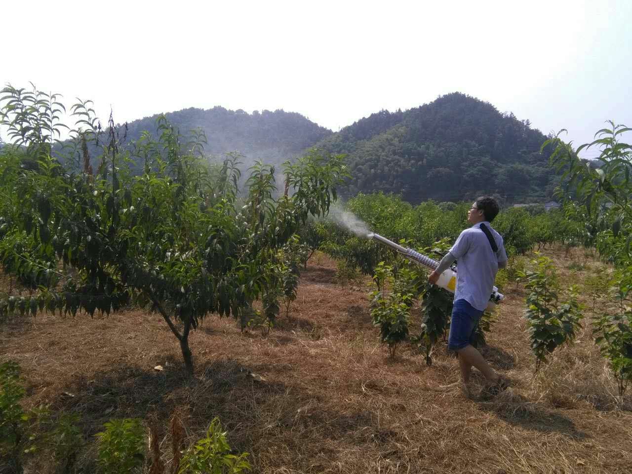 一三一团组织干部职工观摩便携式喷雾机