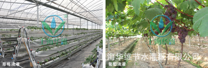 20130806170502_92424