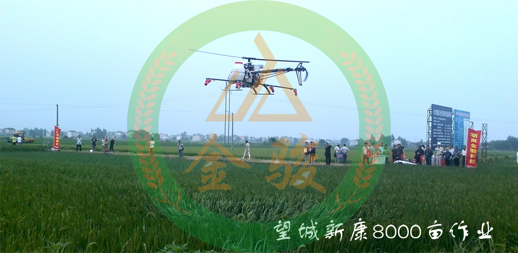 望城新康8000亩晚稻施药.jpg
