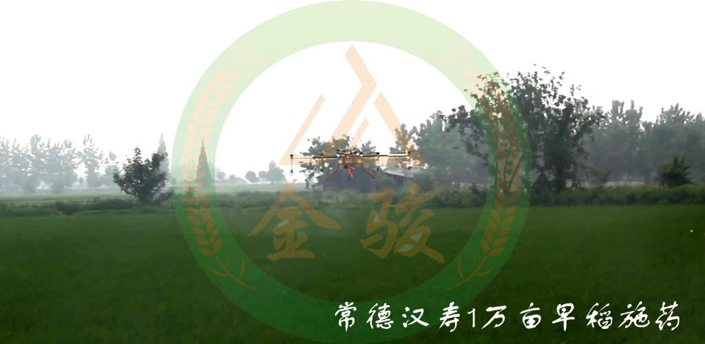 常德汉寿1万亩早稻施药2.jpg