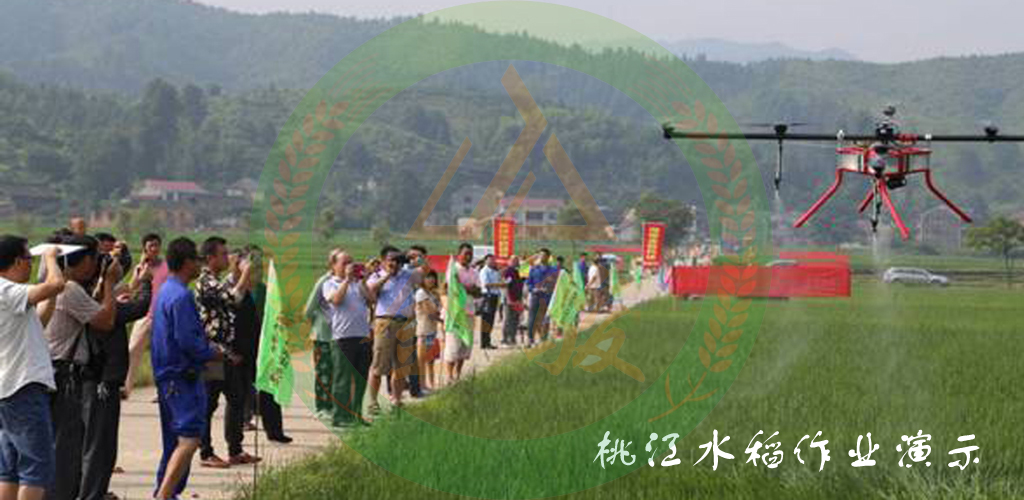 桃江水稻作业演示.jpg