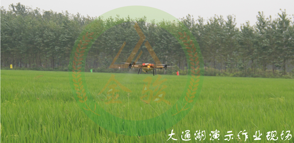 大通湖演示作业现场.jpg