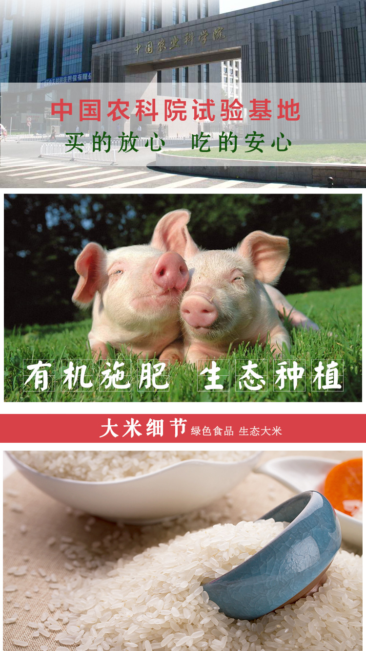 秀收香梗米_07