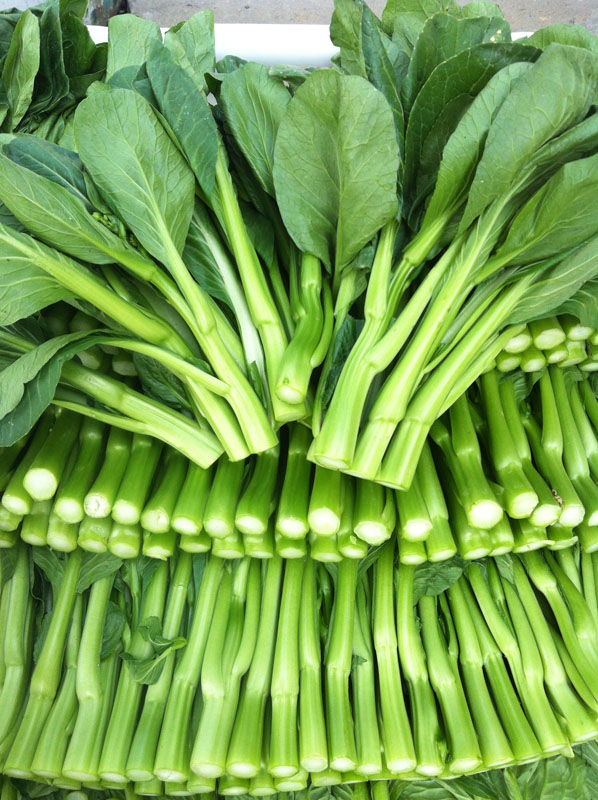 广东菜心,菜薹