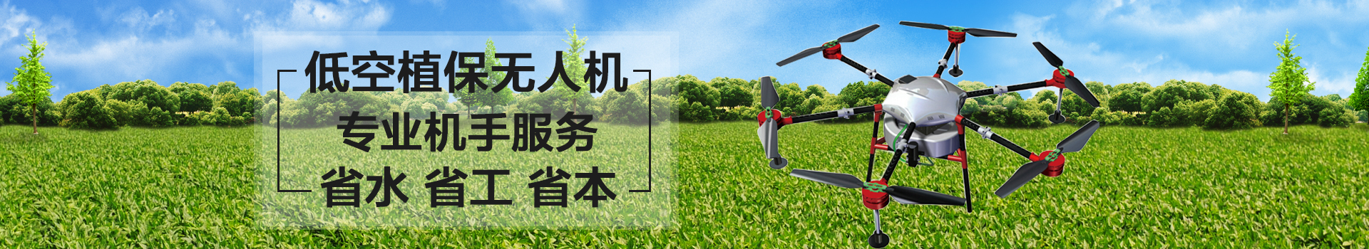 轮播.jpg