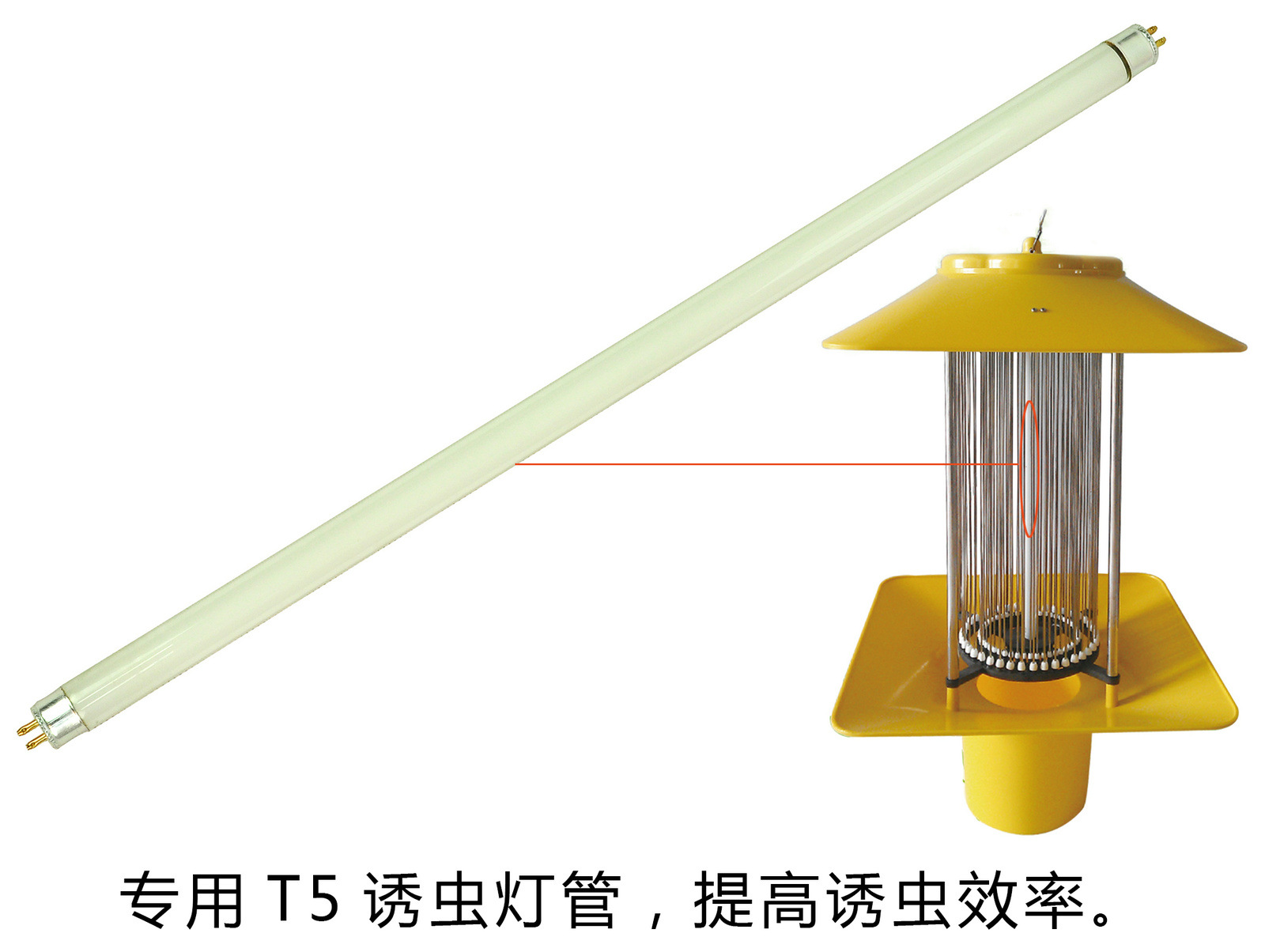 T5灯管-黄