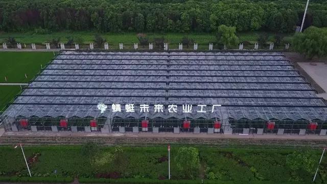 微信图片_20170405141858.jpg