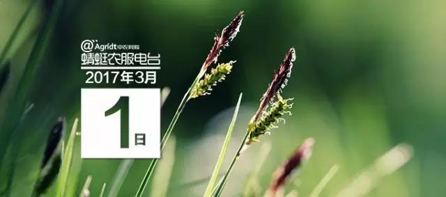 微信图片_20170405143518.jpg