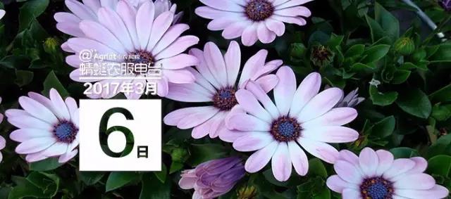 微信图片_20170405143526.jpg
