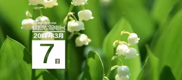 微信图片_20170405143528.jpg