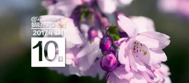 微信图片_20170405143648.jpg