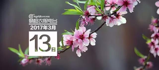 微信图片_20170405143651.jpg