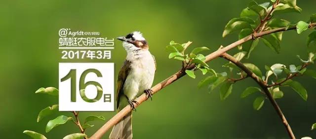 微信图片_20170405143831.jpg