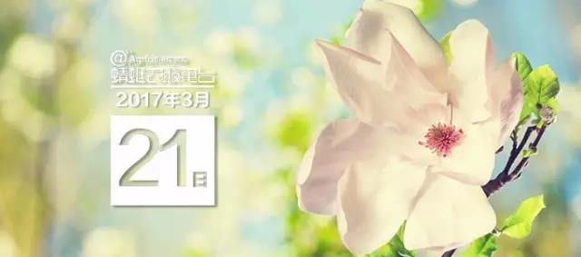 微信图片_20170405143951.jpg