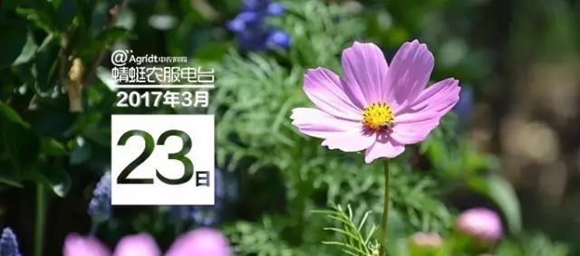 微信图片_20170405143957.jpg