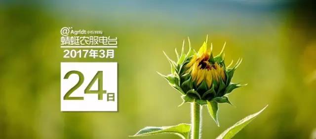 微信图片_20170405144000.jpg