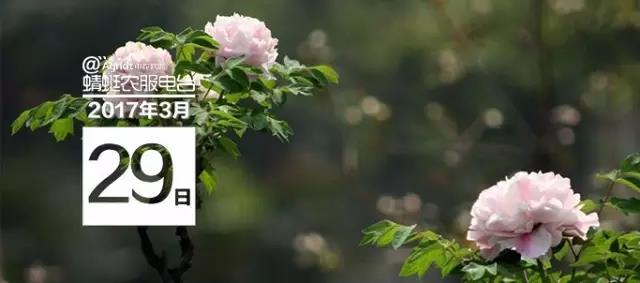 微信图片_20170405144005.jpg