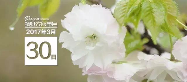 微信图片_20170405144007.jpg