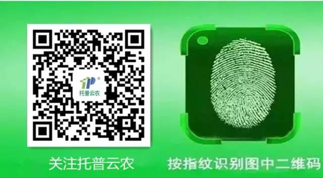 微信图片_20170418083421.jpg